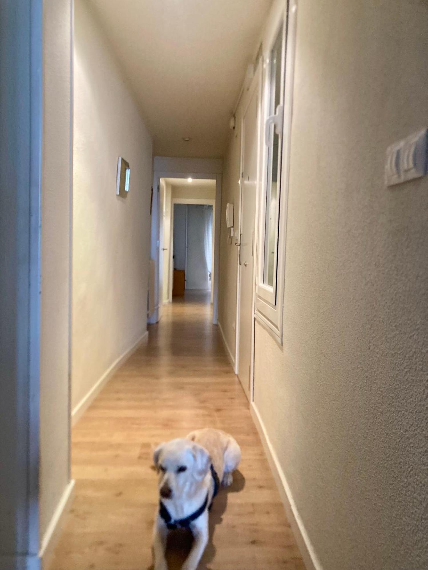 Apartamento San Gregorio Pamplona Kültér fotó